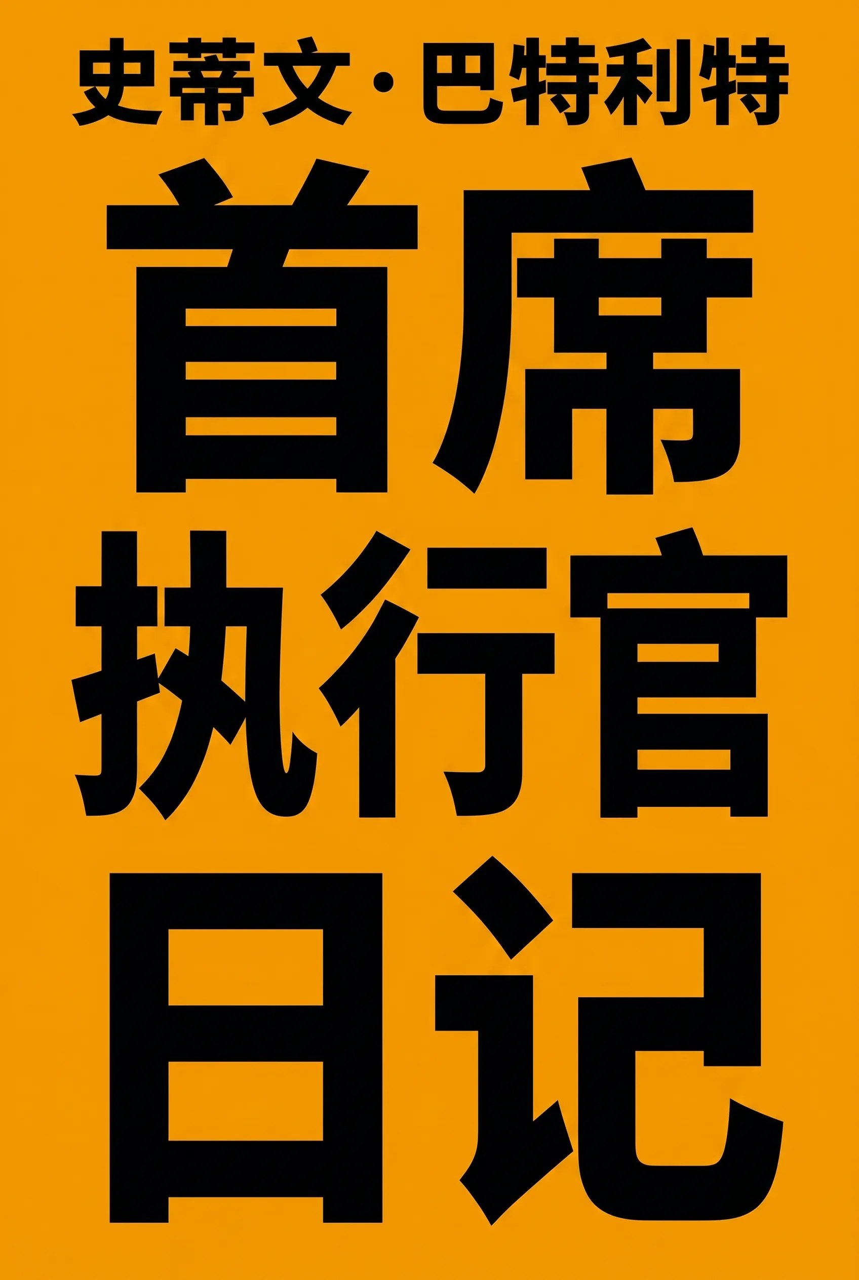 首席执行官日记
