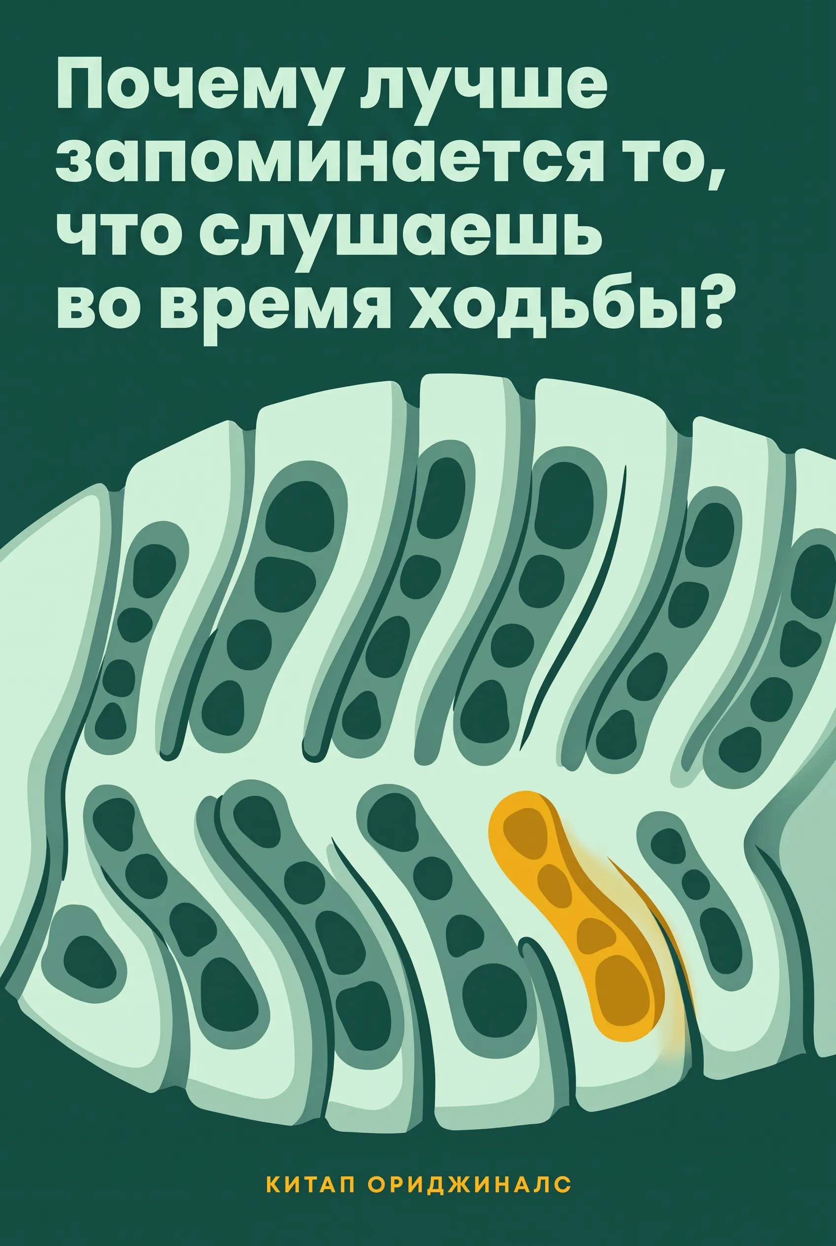Почему лучше запоминается то, что слушаешь во время ходьбы?