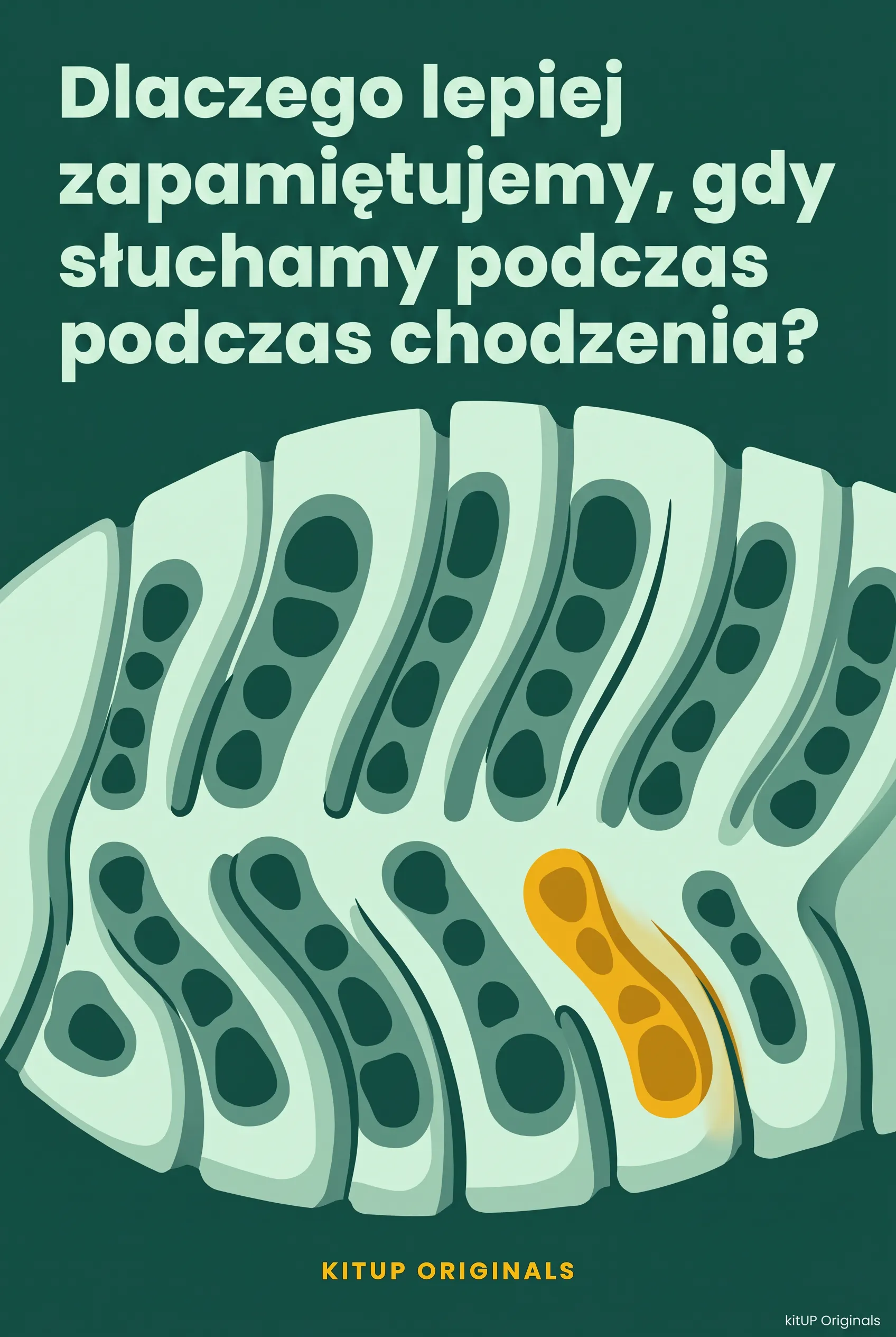 Dlaczego lepiej zapamiętujemy, gdy słuchamy podczas chodzenia?