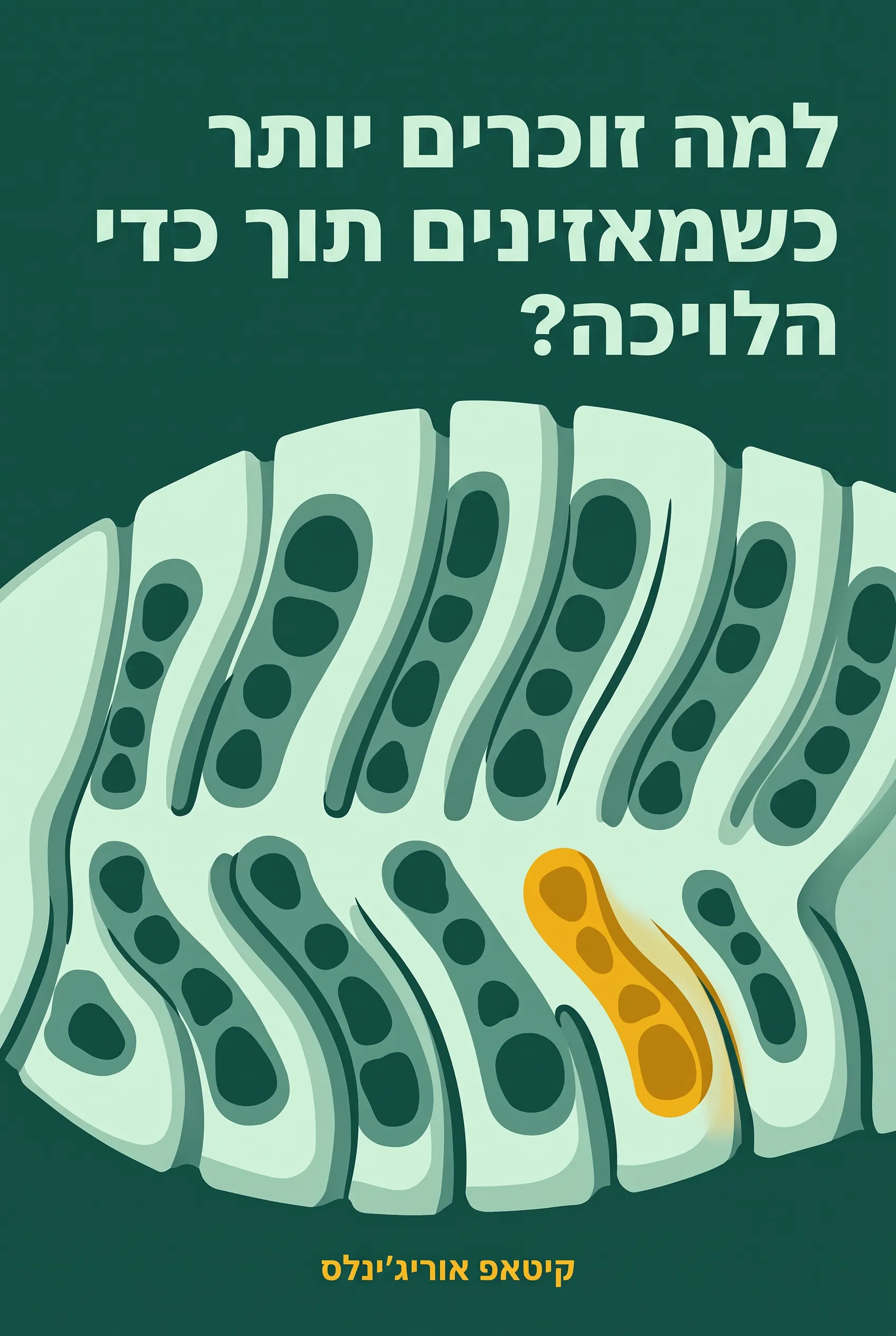 למה זוכרים יותר כשמאזינים תוך כדי הליכה?