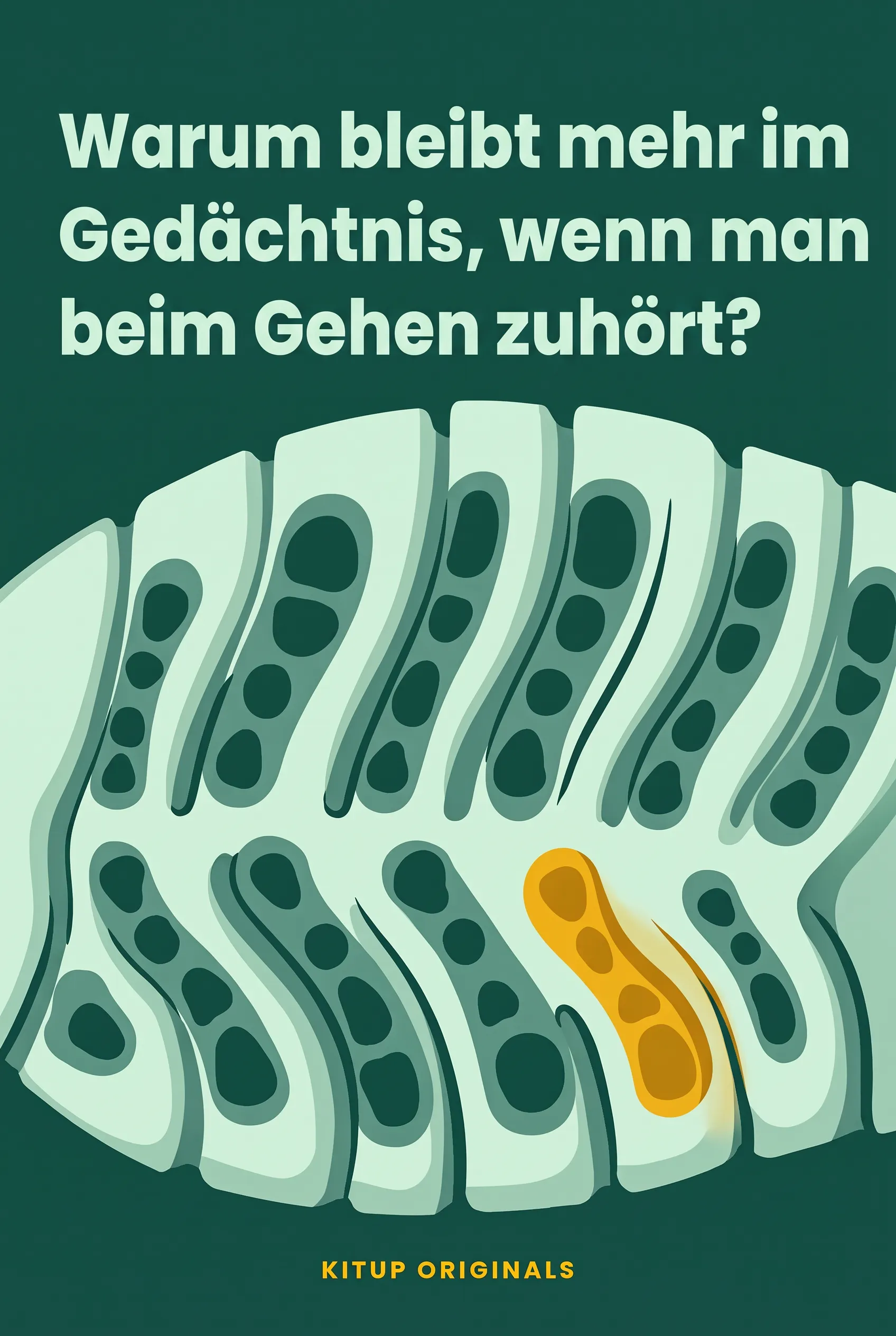 Warum bleibt mehr im Gedächtnis, wenn man beim Gehen zuhört?