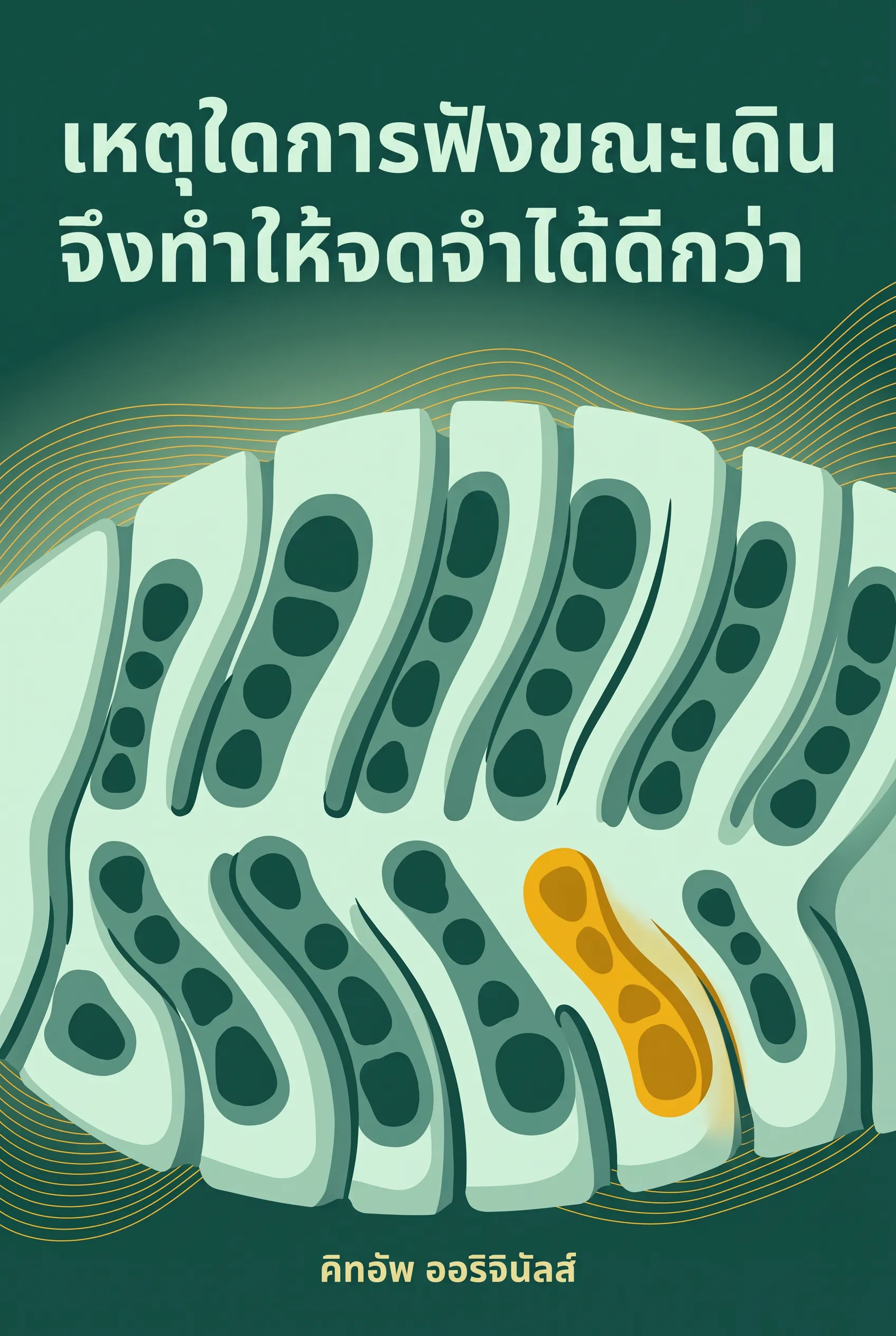 เหตุใดการฟังขณะเดินจึงทำให้จดจำได้ดีกว่า
