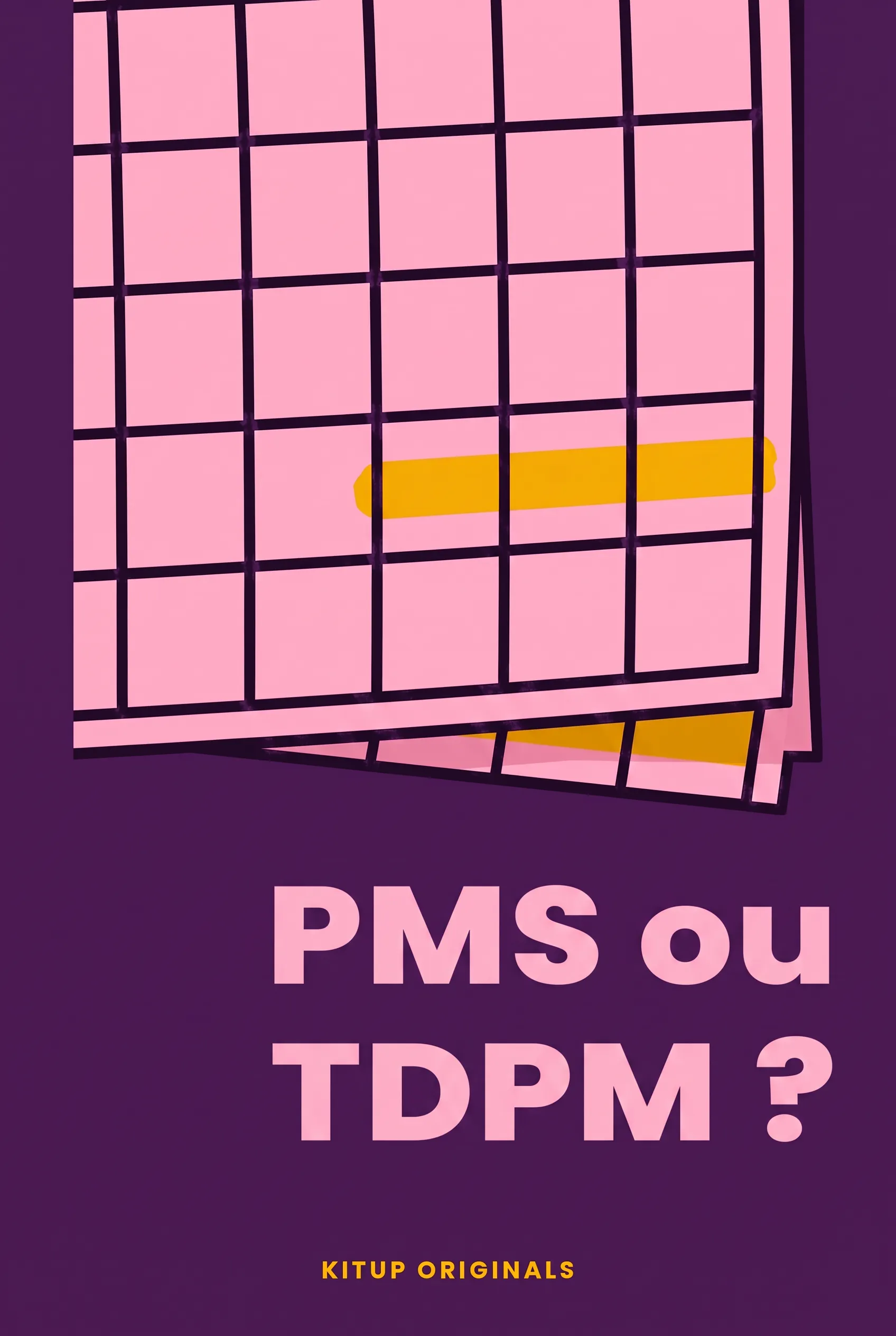 PMS ou TDPM ?