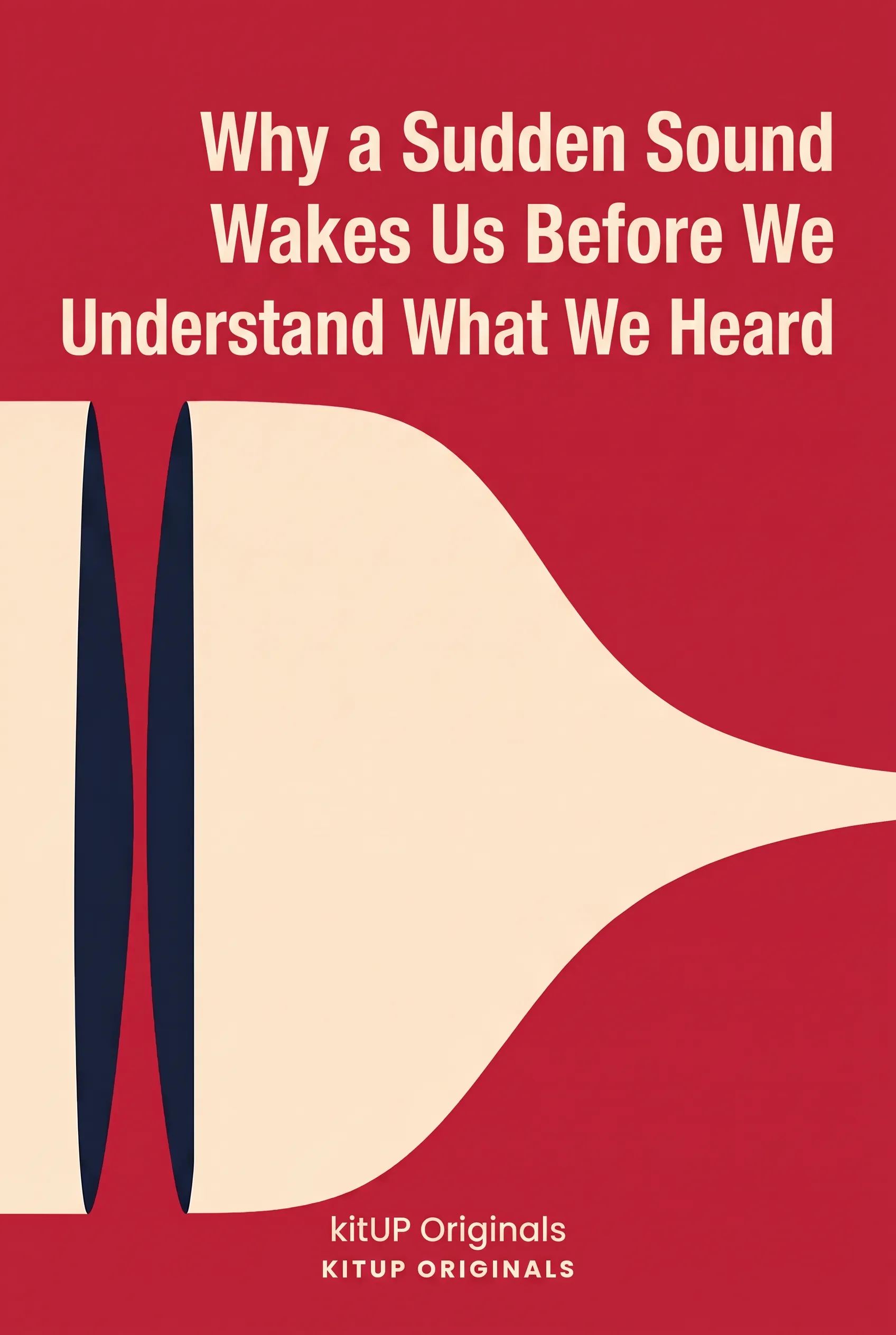 Why a Sudden Sound Wakes Us Before We Understand What We Heard