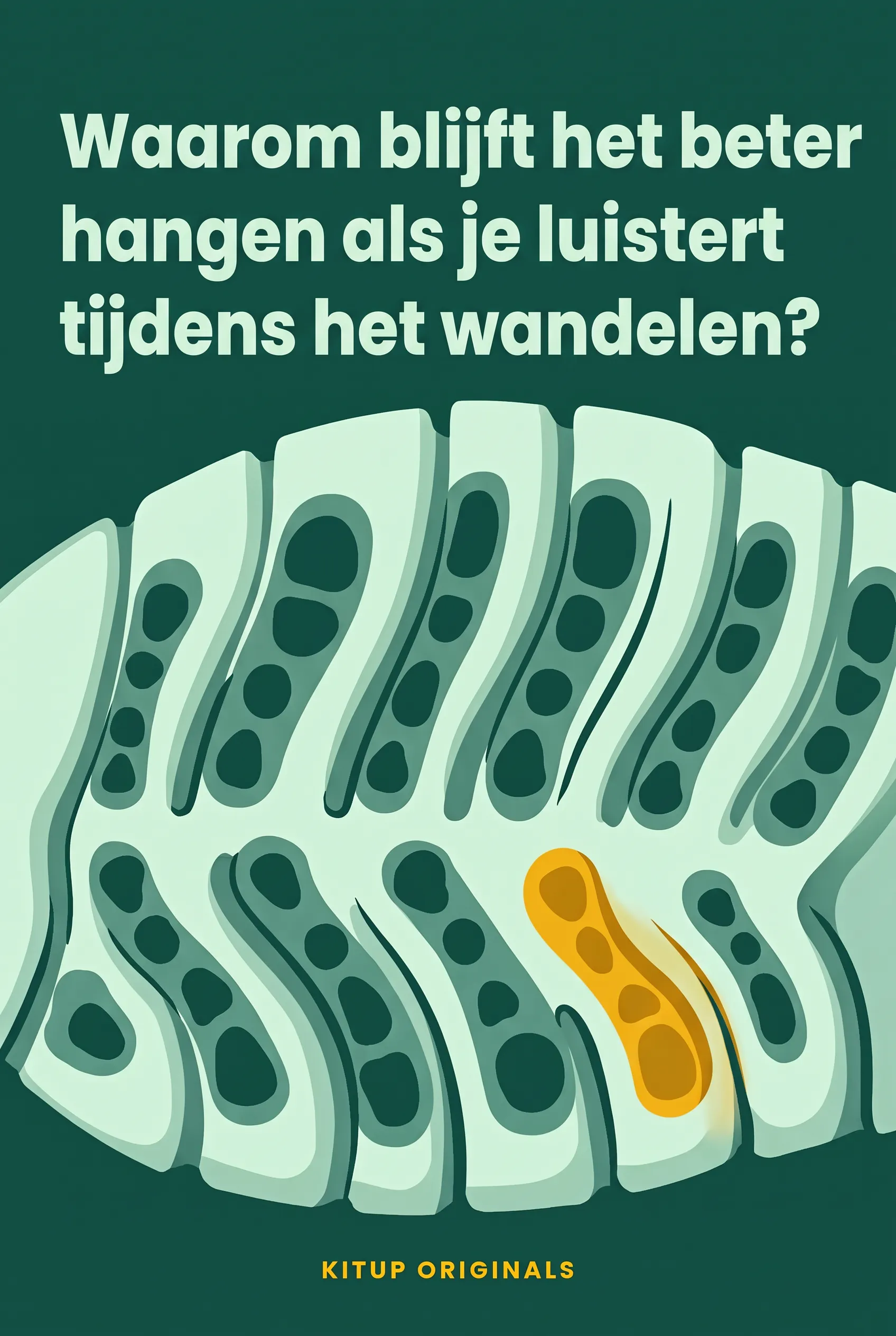 Waarom blijft het beter hangen als je luistert tijdens het wandelen?