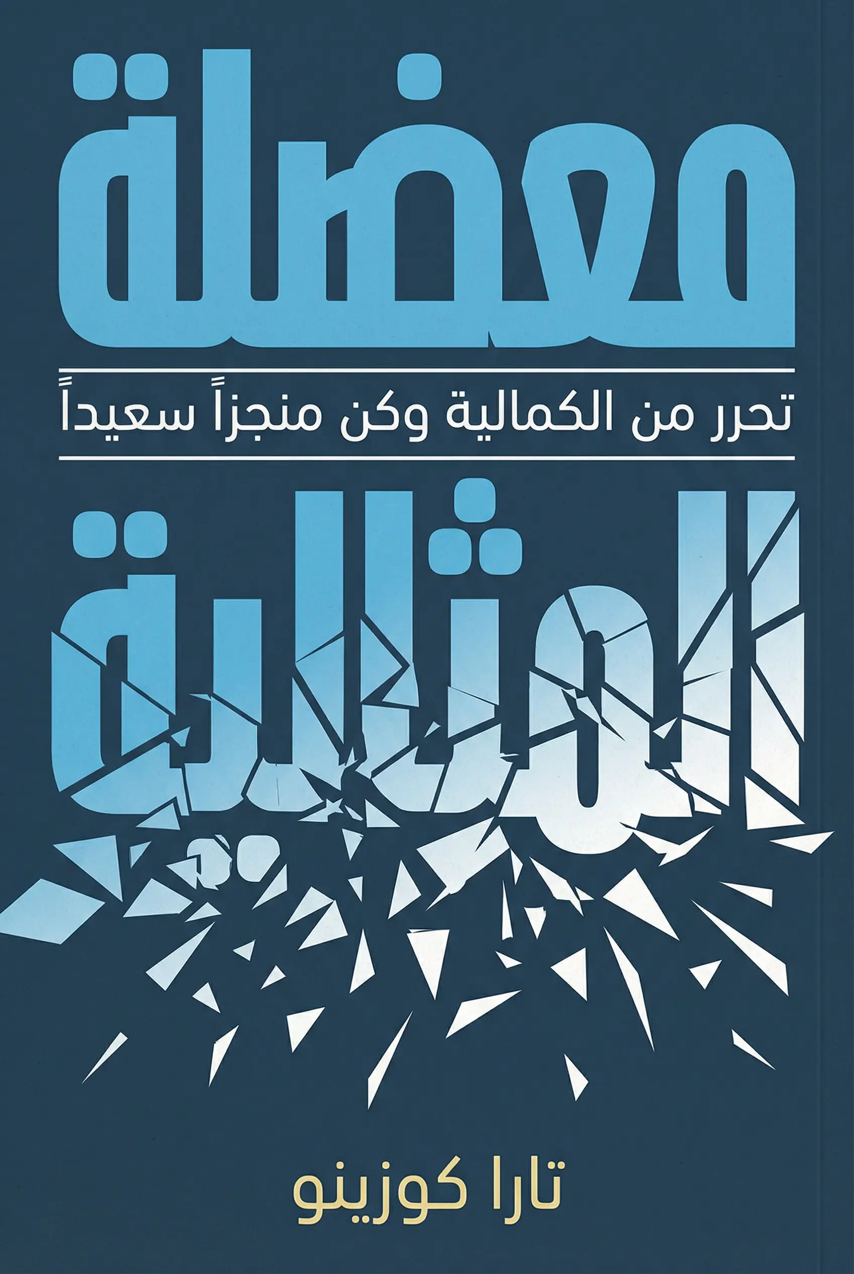 معضلة المثالية