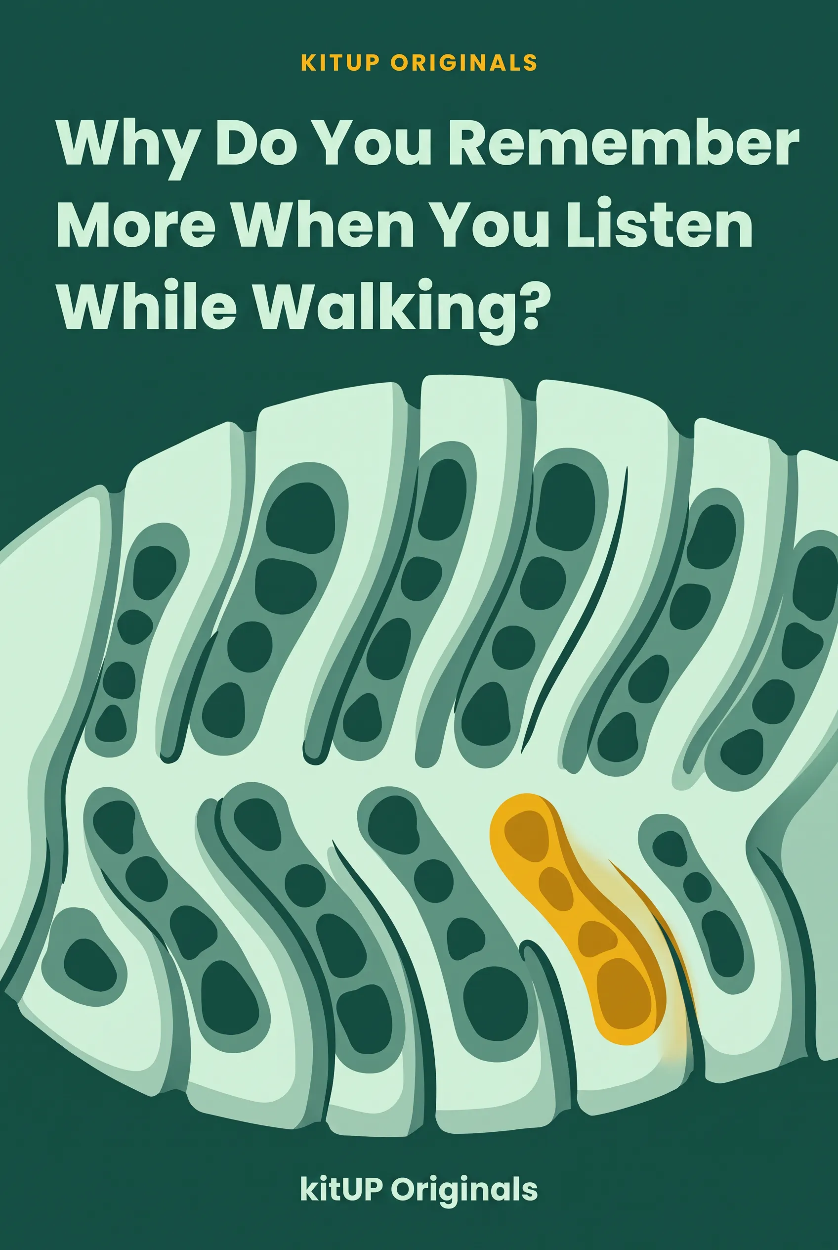 Why Do You Remember More When You Listen While Walking?