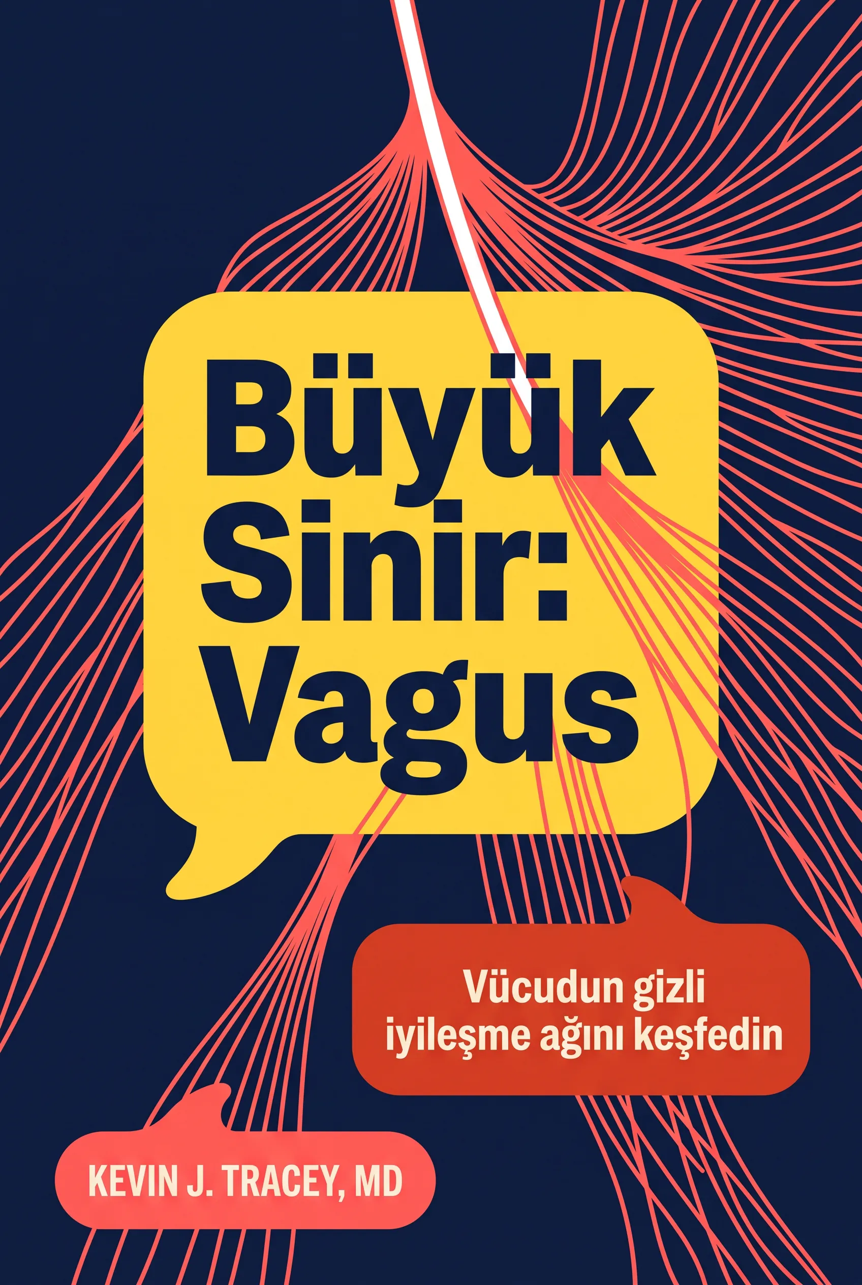 Büyük Sinir: Vagus